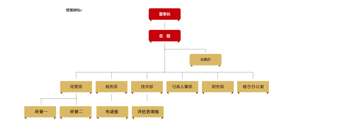 管理架構